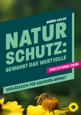 Eine Biene, die auf einer Blume sitzt. Und das Banner mit der Aufschrift "Naturschutz: Bewahrt das Wertvolle – Verlässlich für Sachsen-Anhalt" und dem Hinweis "Zweitstimme Grün"