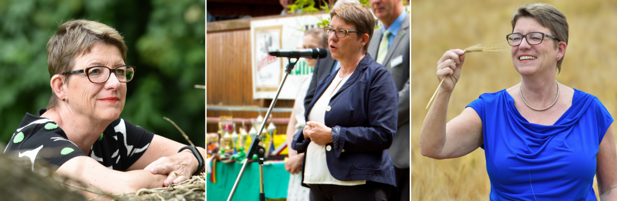 Prof. Dr. Claudia Dalbert